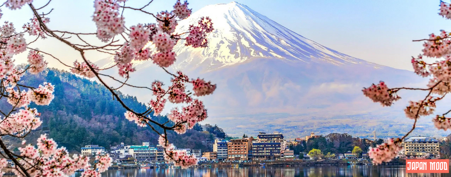 Les 5 plus beaux sites naturels à visiter au Japon