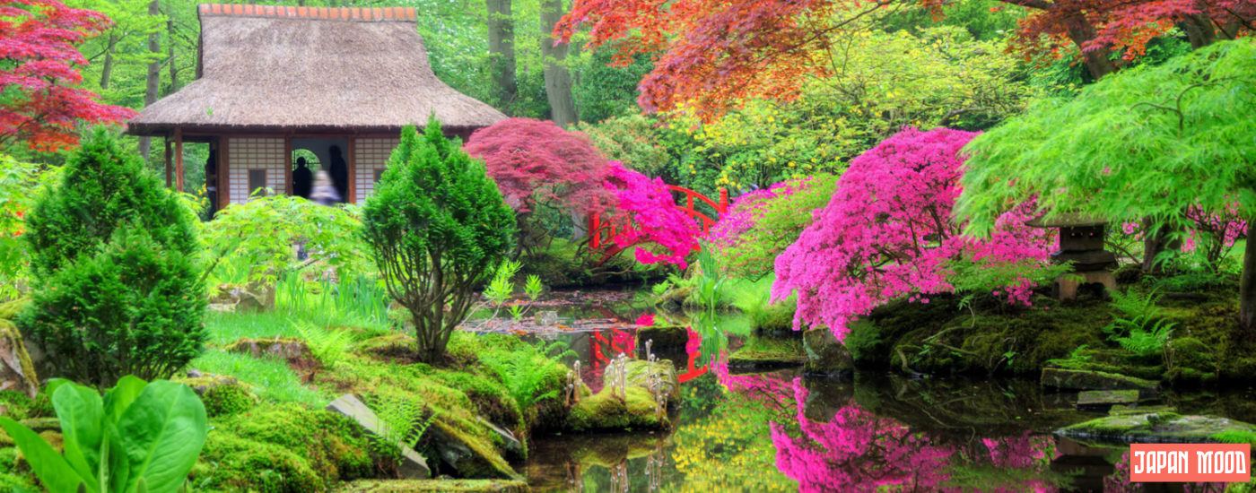Exploration des jardins japonais : une immersion apaisante dans la sérénité et l'esthétique