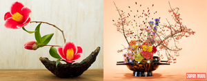 L'art de l'ikebana : l'harmonie florale japonaise