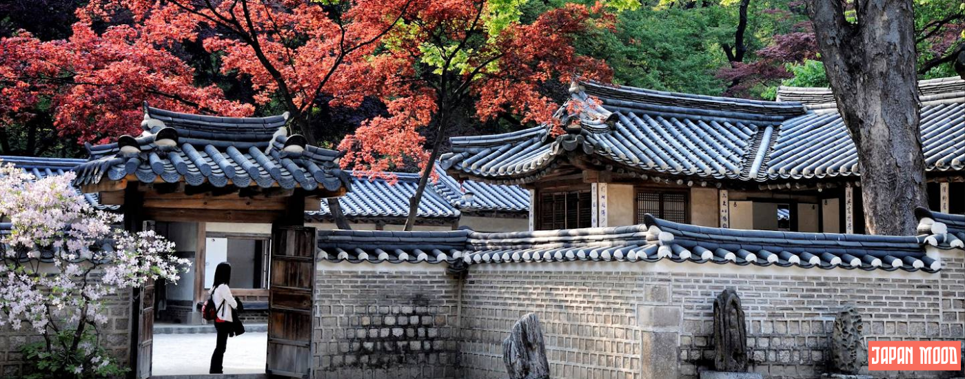 Les différences entre le Japon et la Corée du Sud : deux cultures fascinantes