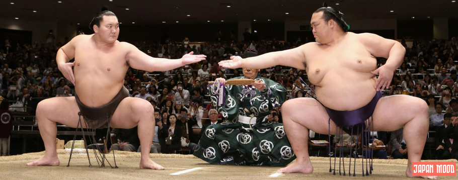 Tout savoir sur l'art du sumotori au Japon